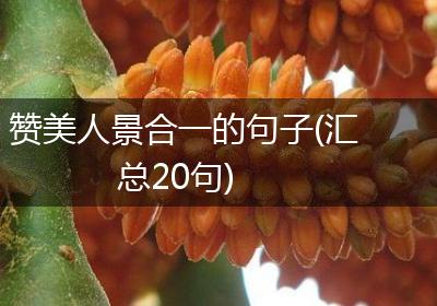 赞美人景合一的句子(汇总20句)