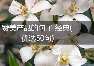 赞美产品的句子 经典(优选50句)
