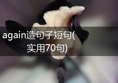 again造句子短句(实用70句)