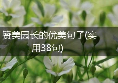 赞美园长的优美句子(实用38句)