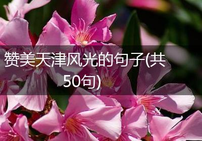 赞美天津风光的句子(共50句)
