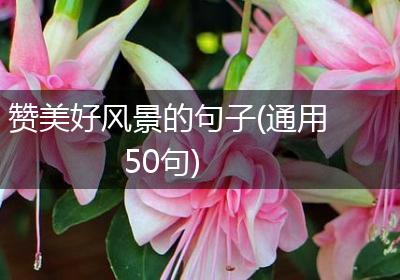 赞美好风景的句子(通用50句)