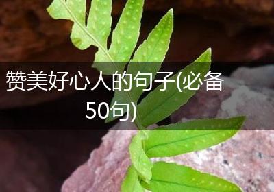 赞美好心人的句子(必备50句)