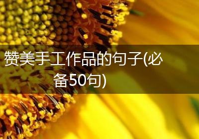 赞美手工作品的句子(必备50句)