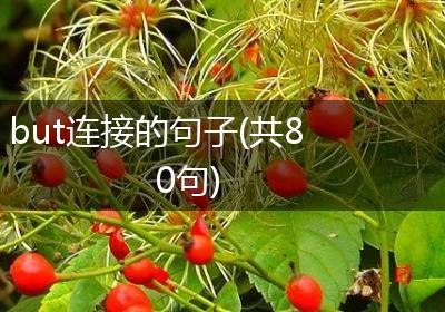 but连接的句子(共80句)