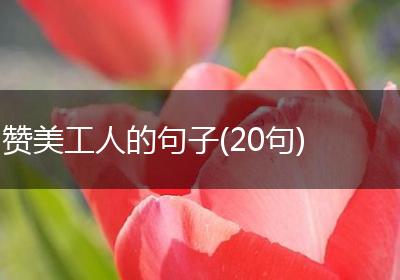 赞美工人的句子(20句)