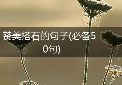赞美搭石的句子(必备50句)