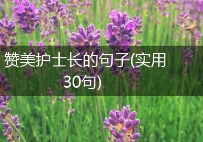 赞美护士长的句子(实用30句)