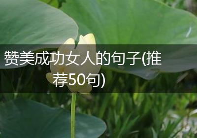 赞美成功女人的句子(推荐50句)