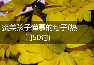 赞美孩子懂事的句子(热门50句)