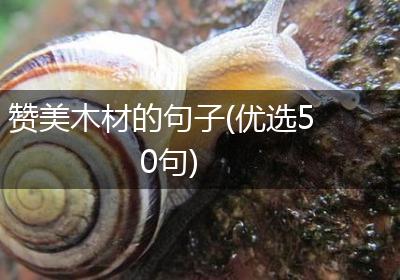赞美木材的句子(优选50句)