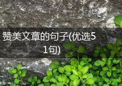 赞美文章的句子(优选51句)