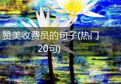 赞美收费员的句子(热门20句)