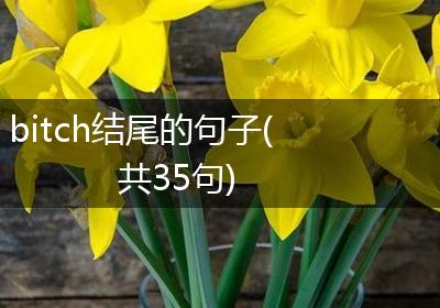 bitch结尾的句子(共35句)