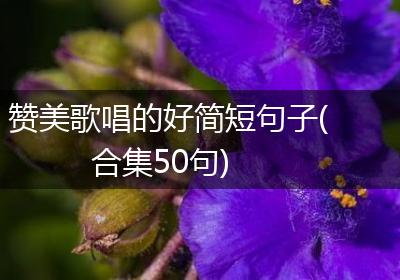 赞美歌唱的好简短句子(合集50句)