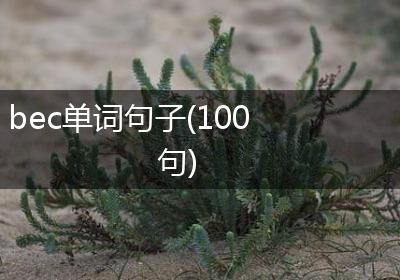 bec单词句子(100句)