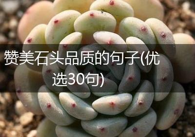 赞美石头品质的句子(优选30句)