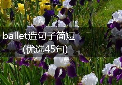 ballet造句子简短(优选45句)