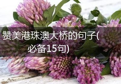 赞美港珠澳大桥的句子(必备15句)