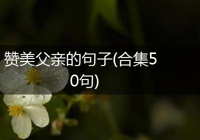 赞美父亲的句子(合集50句)