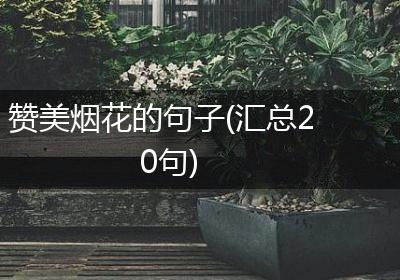 赞美烟花的句子(汇总20句)