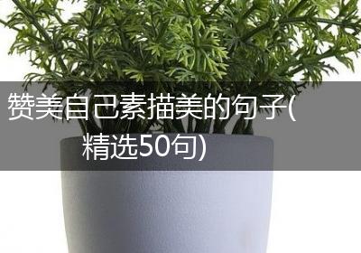 赞美自己素描美的句子(精选50句)