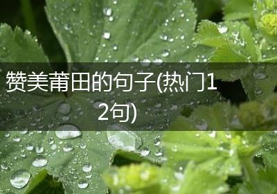 赞美莆田的句子(热门12句)