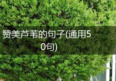 赞美芦苇的句子(通用50句)