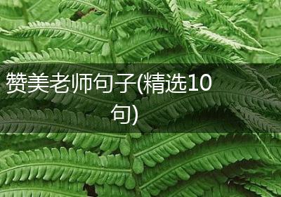 赞美老师句子(精选10句)
