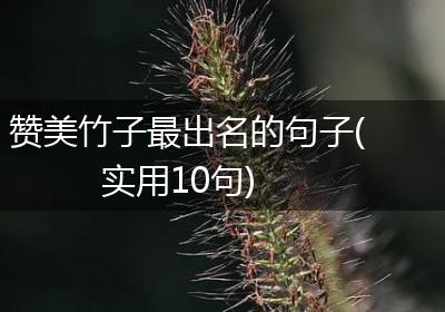 赞美竹子最出名的句子(实用10句)