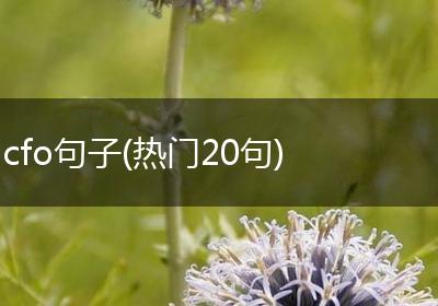 cfo句子(热门20句)
