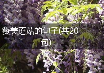 赞美蘑菇的句子(共20句)