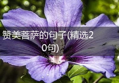 赞美菩萨的句子(精选20句)