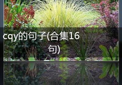 cqy的句子(合集16句)