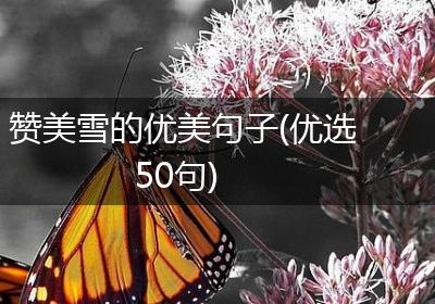 赞美雪的优美句子(优选50句)