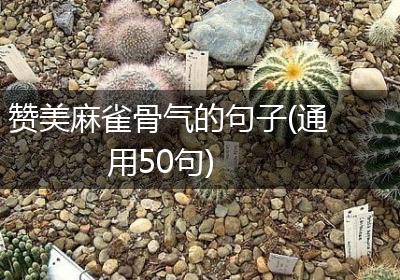赞美麻雀骨气的句子(通用50句)