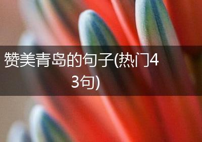 赞美青岛的句子(热门43句)