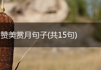 赞美赏月句子(共15句)