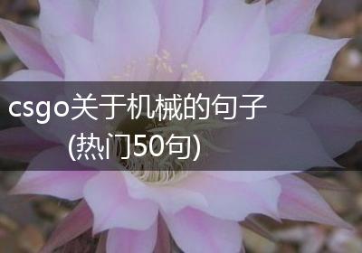 csgo关于机械的句子(热门50句)