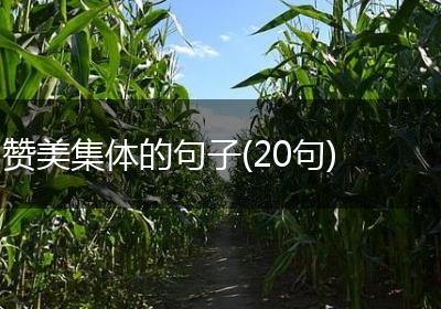赞美集体的句子(20句)