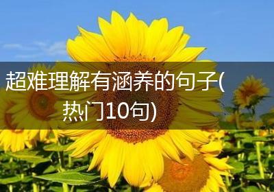 超难理解有涵养的句子(热门10句)
