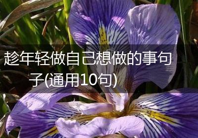 趁年轻做自己想做的事句子(通用10句)