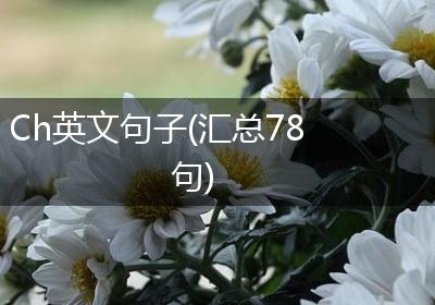 Ch英文句子(汇总78句)