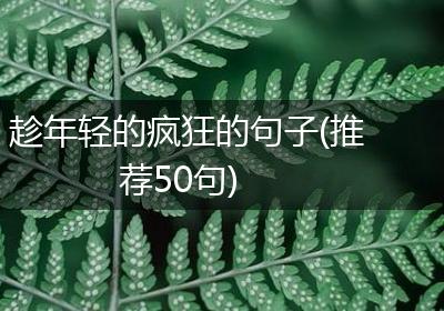 趁年轻的疯狂的句子(推荐50句)