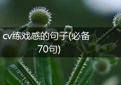cv练戏感的句子(必备70句)