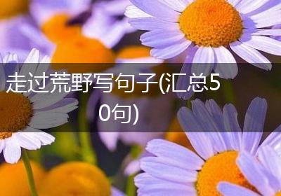 走过荒野写句子(汇总50句)