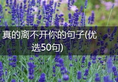 真的离不开你的句子(优选50句)