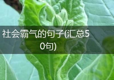 社会霸气的句子(汇总50句)