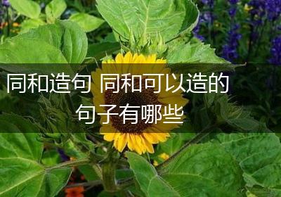 同和造句 同和可以造的句子有哪些