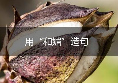 用“和媚”造句